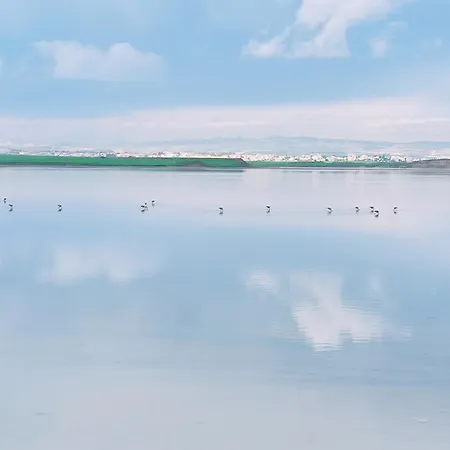 3 Bedroom Old Town 5 Minute Walk To Finnikoudes Apartament Larnaca