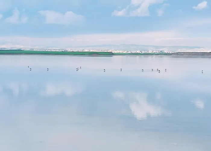 3 Bedroom Old Town 5 Minute Walk To Finnikoudes Lejlighed Larnaca